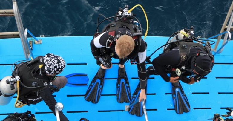 Reef-World's Green Fins initiative helps dive and snorkel operators reduce their environmental impact. Photo by The Reef-World Foundation