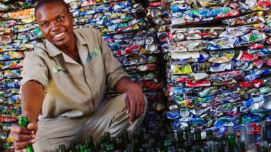 Chobe-Game-Lodge-recycling-e1771810553285-8lNJb9.jpg