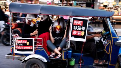 FACT_Tuk-tuk-1_resize-bPOmUp.jpg