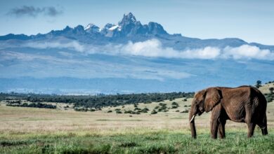 httpswwwthelongrunorgvirtual-impact-show-2026-KENYATRAVELINDEX-R57ghG.jpg